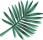 emerald-palm